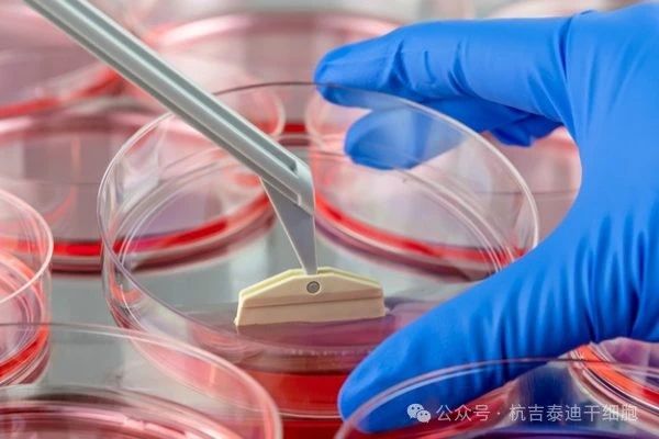 什么是干細胞療法? 什么是干細胞療法?