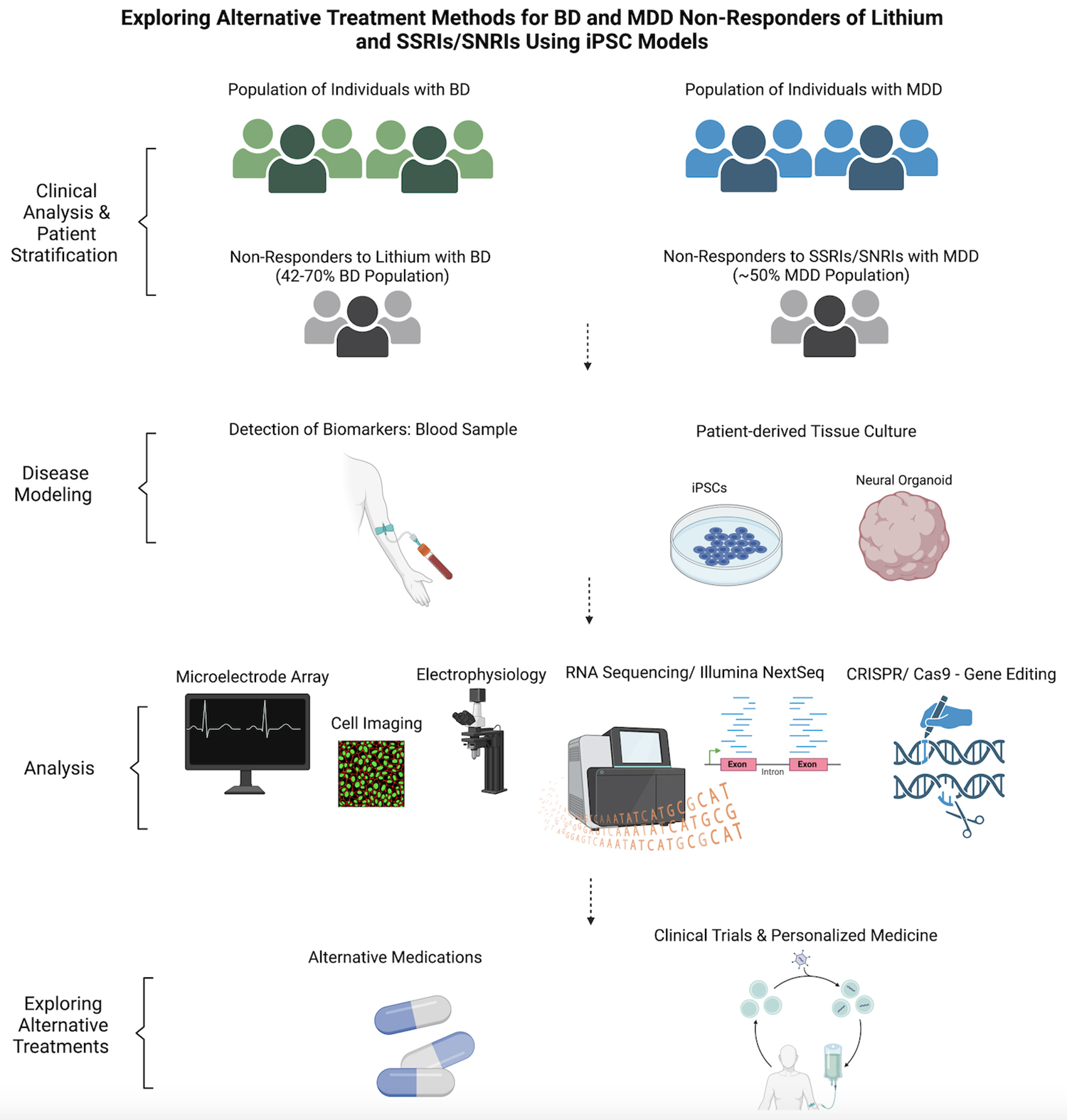 圖3-使用iPSC模型探索對(duì)鋰和SSRI/SNRI無(wú)反應(yīng)的BD和MDD患者的替代治療方法。 圖3-使用iPSC模型探索對(duì)鋰和SSRI/SNRI無(wú)反應(yīng)的BD和MDD患者的替代治療方法。