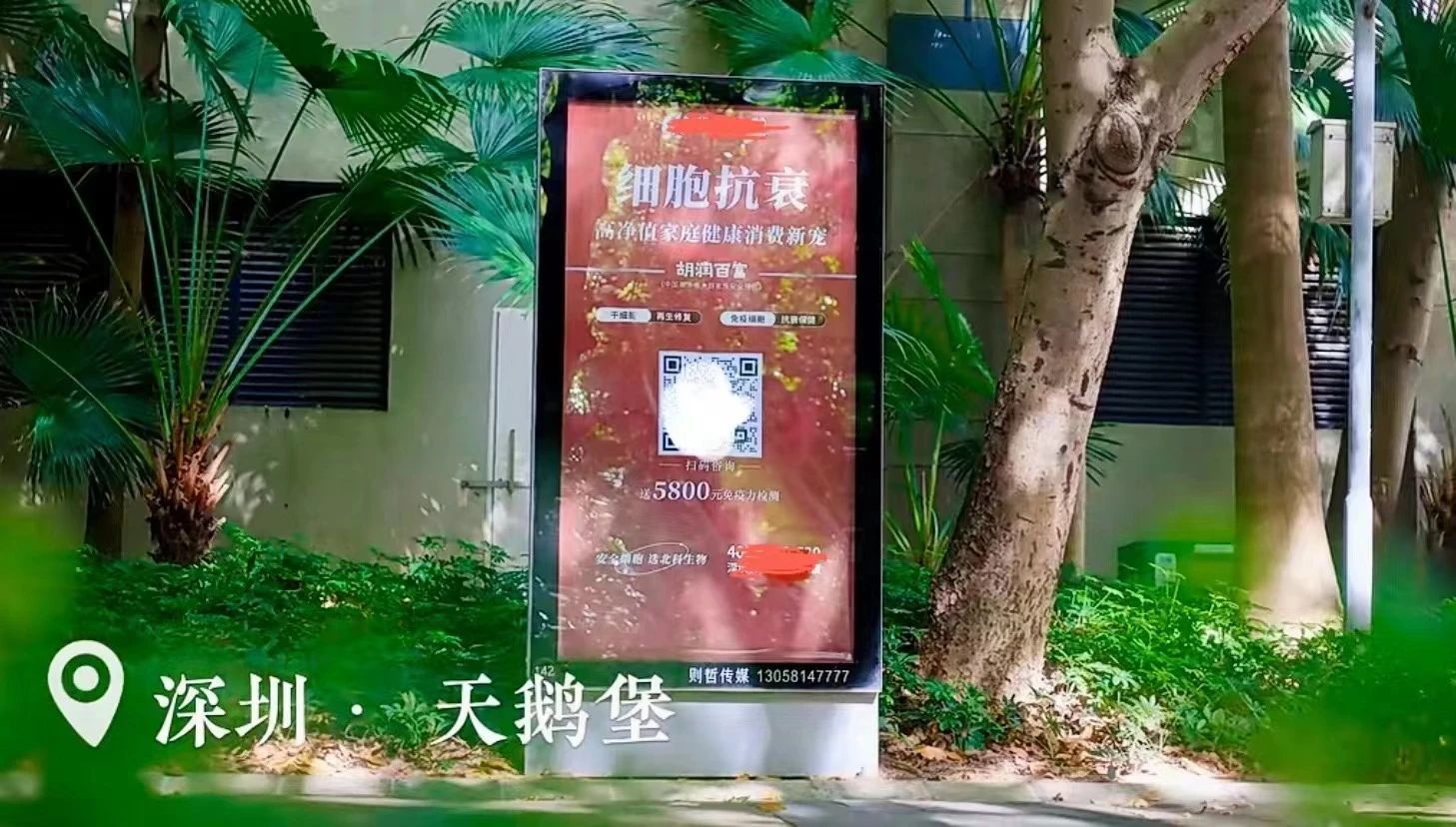 這些政策的出臺，為深圳的細(xì)胞和基因治療領(lǐng)域再次注入了新的活力。