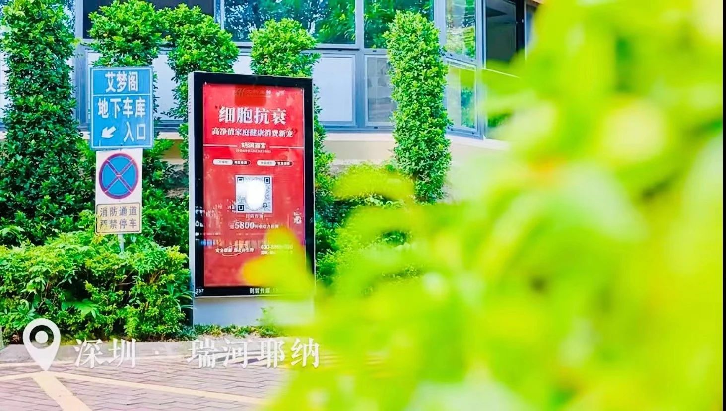 深圳的細(xì)胞治療和健康管理產(chǎn)業(yè)必將迎來更加輝煌的未來