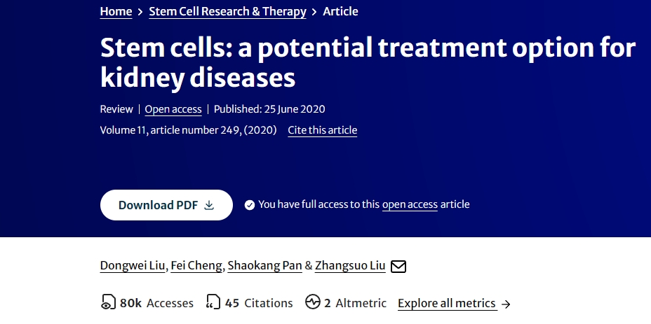 干細胞：腎臟疾病的潛在治療選擇