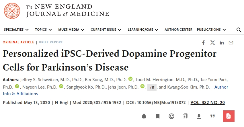 個性化 iPSC 衍生的多巴胺祖細(xì)胞用于治療帕金森病