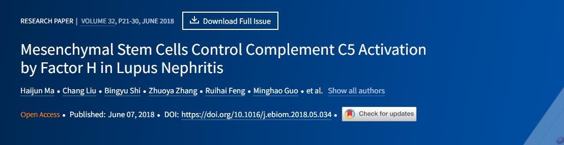 間充質(zhì)干細(xì)胞通過(guò)狼瘡性腎炎中的因子H控制補(bǔ)體C5的激活