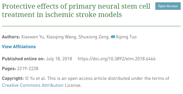 原發(fā)性神經(jīng)干細(xì)胞治療對缺血性中風(fēng)模型的保護作用