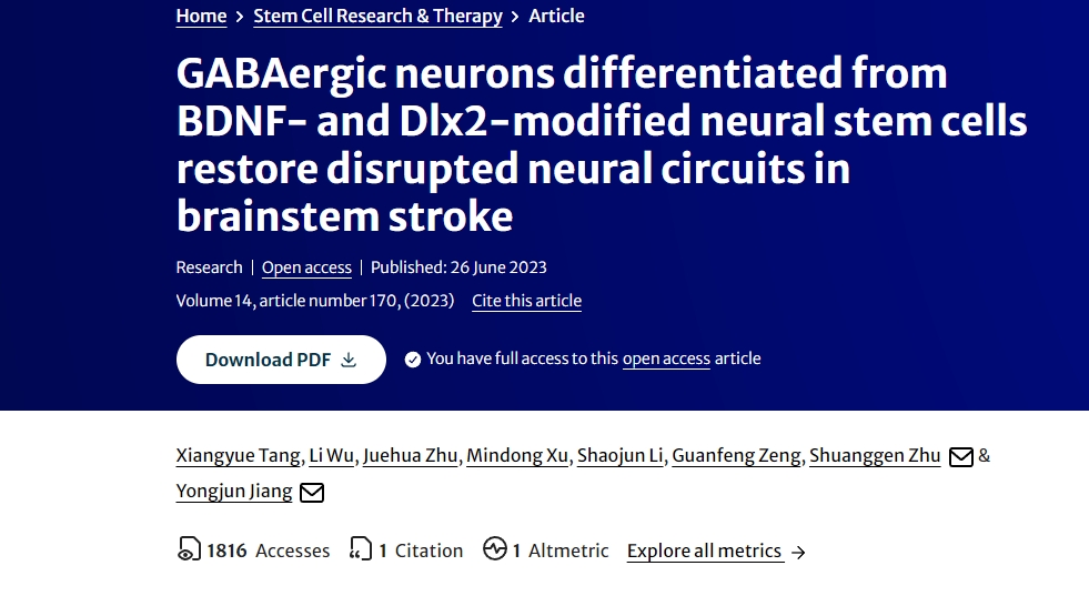 由BDNF和Dlx2修飾的神經(jīng)干細(xì)胞分化而來的GABA能神經(jīng)元可修復(fù)腦干中風(fēng)時受損的神經(jīng)回路