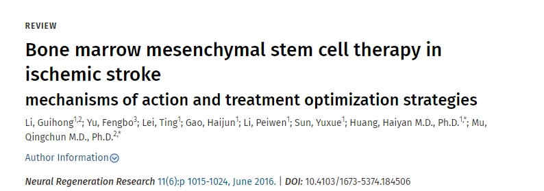 骨髓間充質(zhì)干細(xì)胞治療缺血性腦卒中的作用機制及治療優(yōu)化策略
