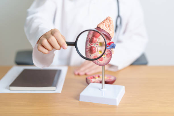 干細(xì)胞治療急性腎損傷中的應(yīng)用——當(dāng)前可用數(shù)據(jù)和未來展望