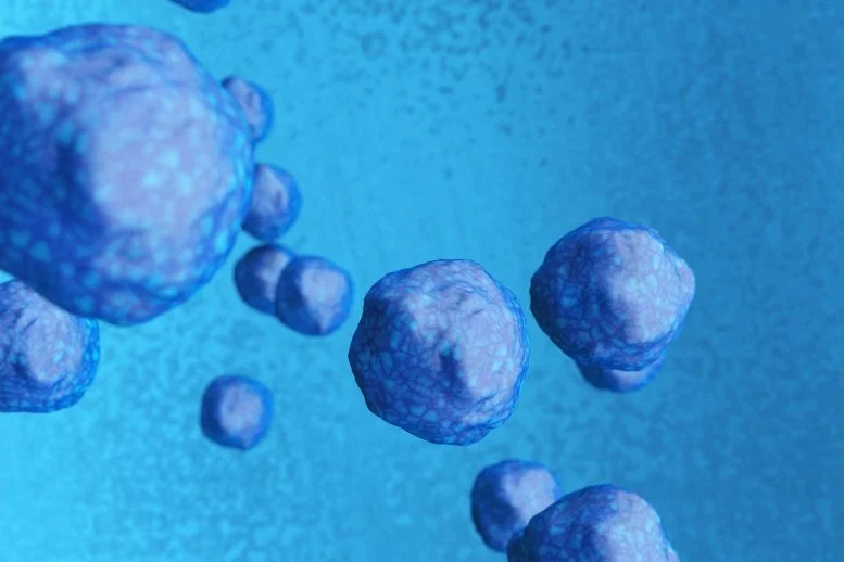 杜克大學(xué)-新加坡國(guó)立大學(xué)和MBI的科學(xué)家發(fā)現(xiàn)了一種激活休眠神經(jīng)干細(xì)胞的途徑，通過(guò)針對(duì)星形膠質(zhì)細(xì)胞和神經(jīng)干細(xì)胞之間的相互作用，有可能為神經(jīng)發(fā)育障礙帶來(lái)新的治療方法。