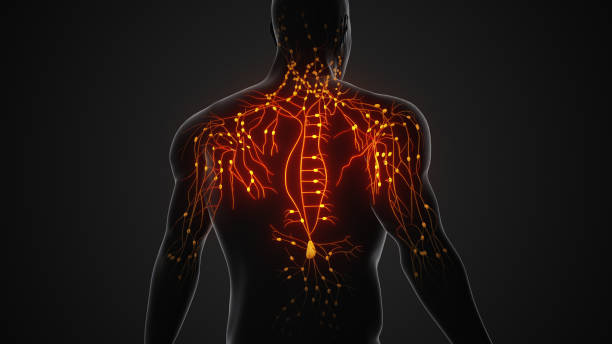 腦和脊髓創傷是重大的公共衛生挑戰 腦和脊髓創傷是重大的公共衛生挑戰