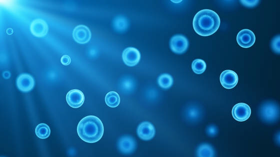 用于研究治療自閉癥的干細胞有哪些？