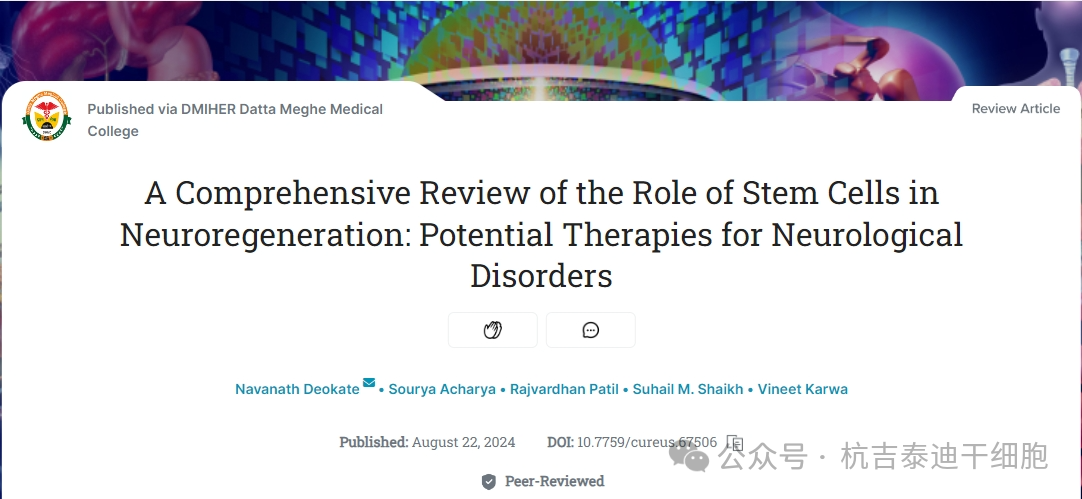 干細(xì)胞作用機(jī)制之一（神經(jīng)再生）：成為治療神經(jīng)系統(tǒng)疾病的潛在療法