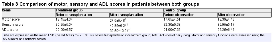 植入含有hUC-MSC的膠原支架（CS）可改善人類(lèi)脊髓完全損傷（SCI）后的神經(jīng)功能