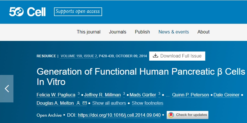 體外生成功能性人類(lèi)胰腺 β 細(xì)胞