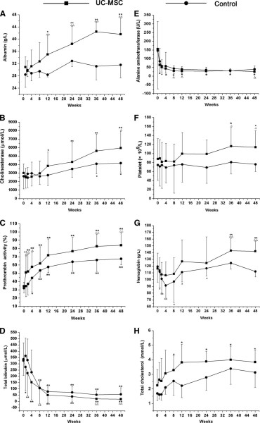 UC-MSC 輸血對肝功能的影響。