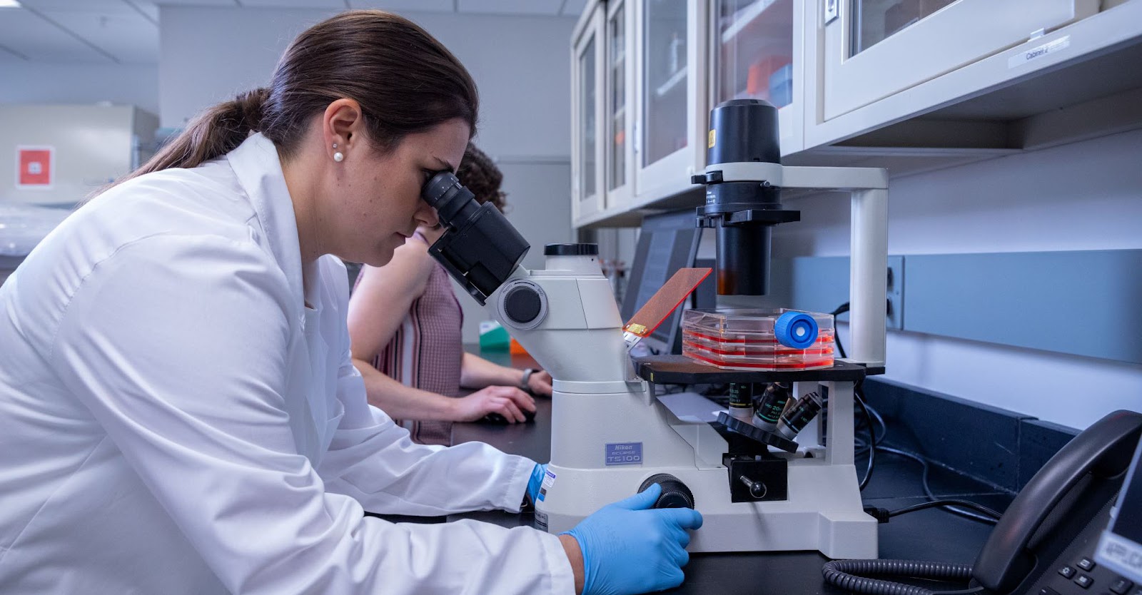 在干細胞用于治療之前，必須對其進行適當的激活和培養。