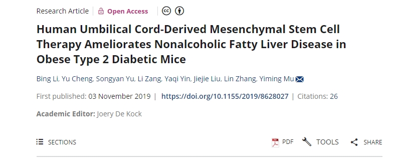 人臍帶間充質干細胞療法可改善肥胖2型糖尿病小鼠的非酒精性脂肪肝疾病