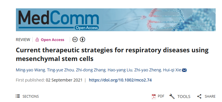 《當(dāng)前利用間充質(zhì)干細(xì)胞治療呼吸系統(tǒng)疾病的策略》