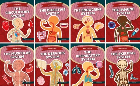 人體八大系統(tǒng)疾病有哪些？間充質干細胞治療的案例有哪些？