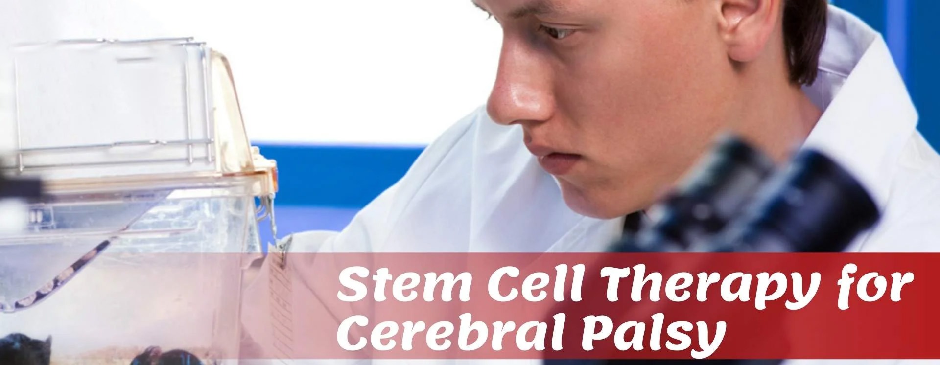 2019-2024年干細(xì)胞治療腦癱的臨床研究進(jìn)展