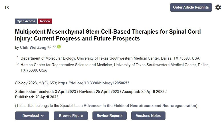 間充質(zhì)干細(xì)胞治療脊髓損傷：目前的進(jìn)展和未來(lái)的前景