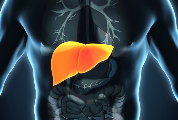 肝衰竭如何治療？干細(xì)胞治療為什么會(huì)成為修復(fù)肝衰竭的新途徑？