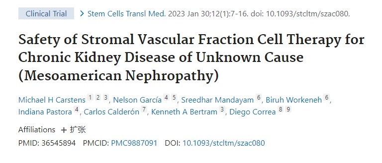 基質(zhì)血管成分細(xì)胞療法治療原因不明的慢性腎?。ㄖ忻乐弈I?。┑陌踩? class=