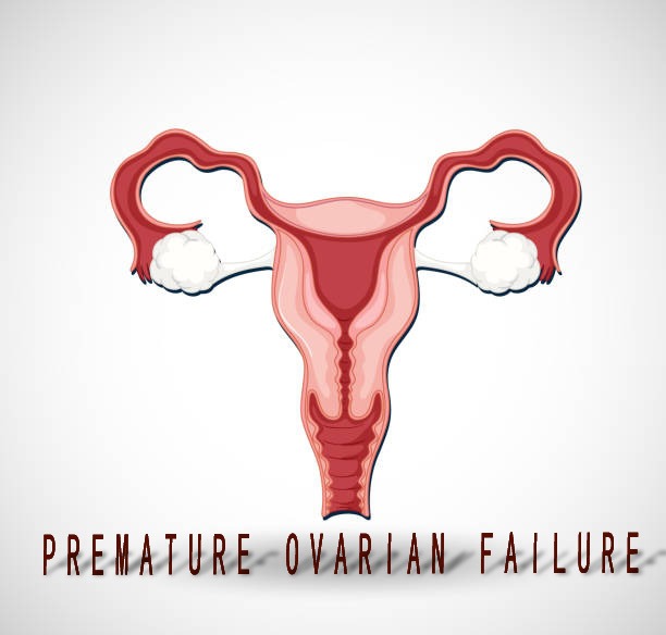 2020-2024年干細(xì)胞治療卵巢早衰患者臨床研究進(jìn)展 2020-2024年干細(xì)胞治療卵巢早衰患者臨床研究進(jìn)展