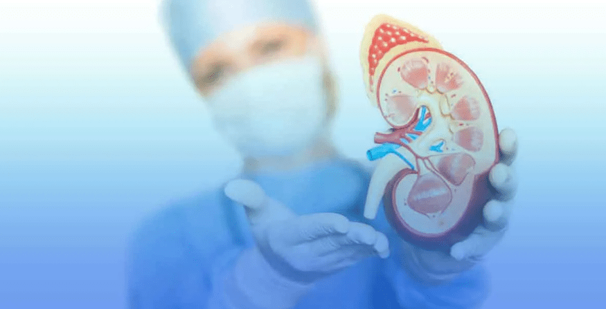 干細胞療法：為腎移植患者帶來減少免疫抑制劑、降低排斥風險的新曙光！