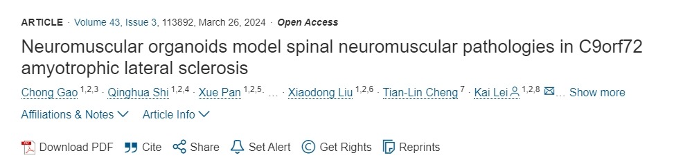 神經肌肉類器官模擬 C9orf72肌萎縮側索硬化癥中的脊髓神經肌肉病理