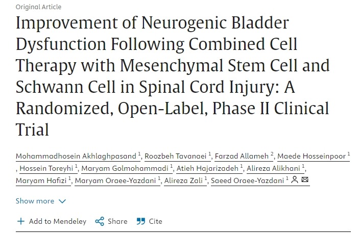 間充質(zhì)干細(xì)胞和雪旺細(xì)胞聯(lián)合治療脊髓損傷后神經(jīng)源性膀胱功能障礙的改善:一項(xiàng)隨機(jī)、開放標(biāo)簽、 II 期臨床試驗(yàn) 間充質(zhì)干細(xì)胞和雪旺細(xì)胞聯(lián)合治療脊髓損傷后神經(jīng)源性膀胱功能障礙的改善:一項(xiàng)隨機(jī)、開放標(biāo)簽、 II 期臨床試驗(yàn)