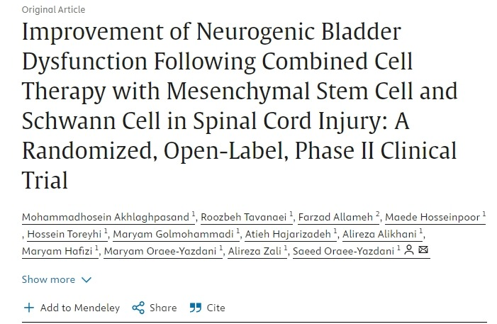 間充質(zhì)干細(xì)胞和雪旺細(xì)胞聯(lián)合治療脊髓損傷后神經(jīng)源性膀胱功能障礙的改善：一項(xiàng)隨機(jī)、開放標(biāo)簽、 II 期臨床試驗(yàn)