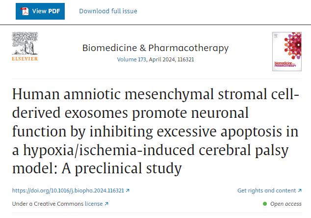 人羊膜間充質(zhì)干細(xì)胞來源的外泌體通過抑制缺氧/缺血誘導(dǎo)的腦癱模型中的過度細(xì)胞凋亡來促進神經(jīng)元功能：一項臨床前研究