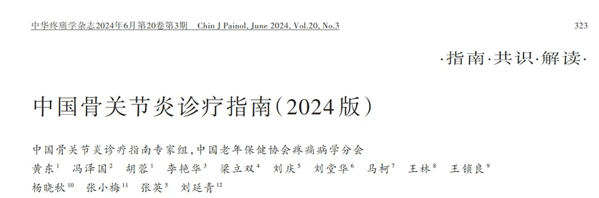 中國骨關節炎診療指南（2024版）
