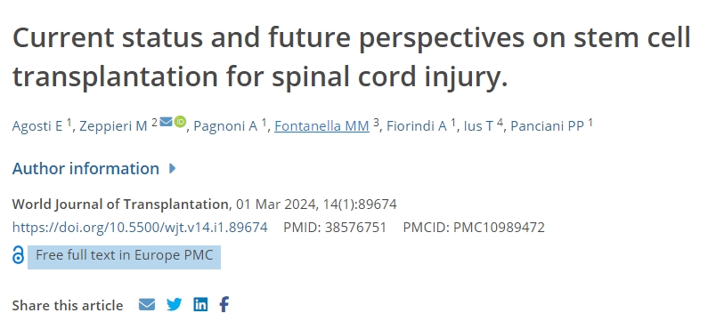 干細胞移植治療脊髓損傷的現狀及未來前景 干細胞移植治療脊髓損傷的現狀及未來前景