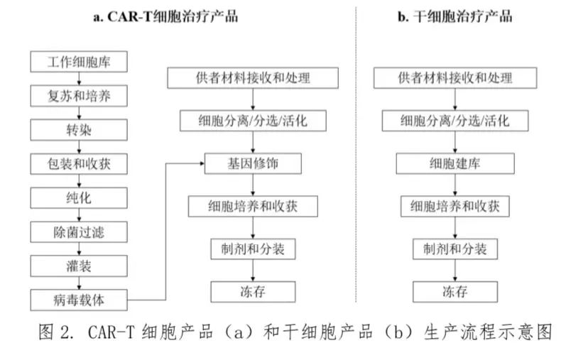 圖2.CAR-T細胞產品(a)和干細胞產品(b)生產流程示意圖 圖2.CAR-T細胞產品(a)和干細胞產品(b)生產流程示意圖