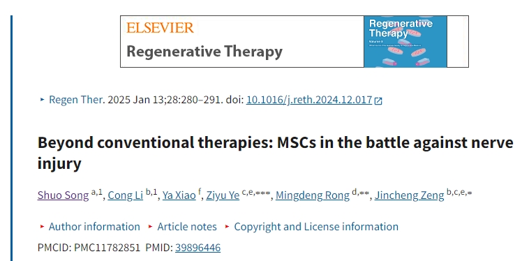 超越傳統療法:間充質干細胞對抗神經損傷
