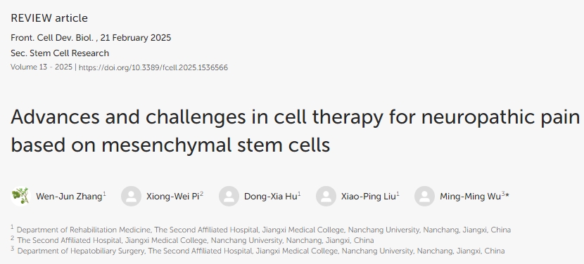 基于間充質干細胞的神經性疼痛細胞治療進展與挑戰(zhàn)
