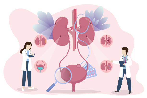 探索干細胞療法：真的能減少腎病患者的透析頻率嗎？