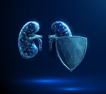 干細(xì)胞療法能否長期穩(wěn)定腎病腎功能？103例患者8年數(shù)據(jù)揭秘