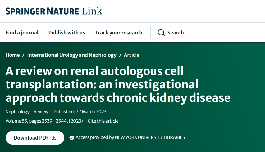 腎臟自體細胞移植綜述：慢性腎臟病的研究方法