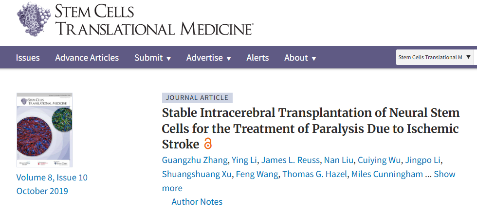 神經(jīng)干細胞穩(wěn)定腦內(nèi)移植治療缺血性中風所致癱瘓