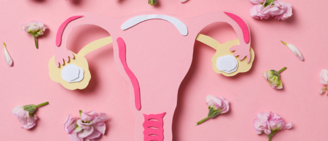 干細(xì)胞治療卵巢早衰：如何實(shí)現(xiàn)短期卵巢功能改善到長期卵巢組織的恢復(fù)？