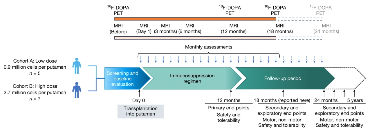 圖1:研究設(shè)計(jì)概要。患者按順序入組低劑量組和高劑量組。 圖1:研究設(shè)計(jì)概要。患者按順序入組低劑量組和高劑量組。