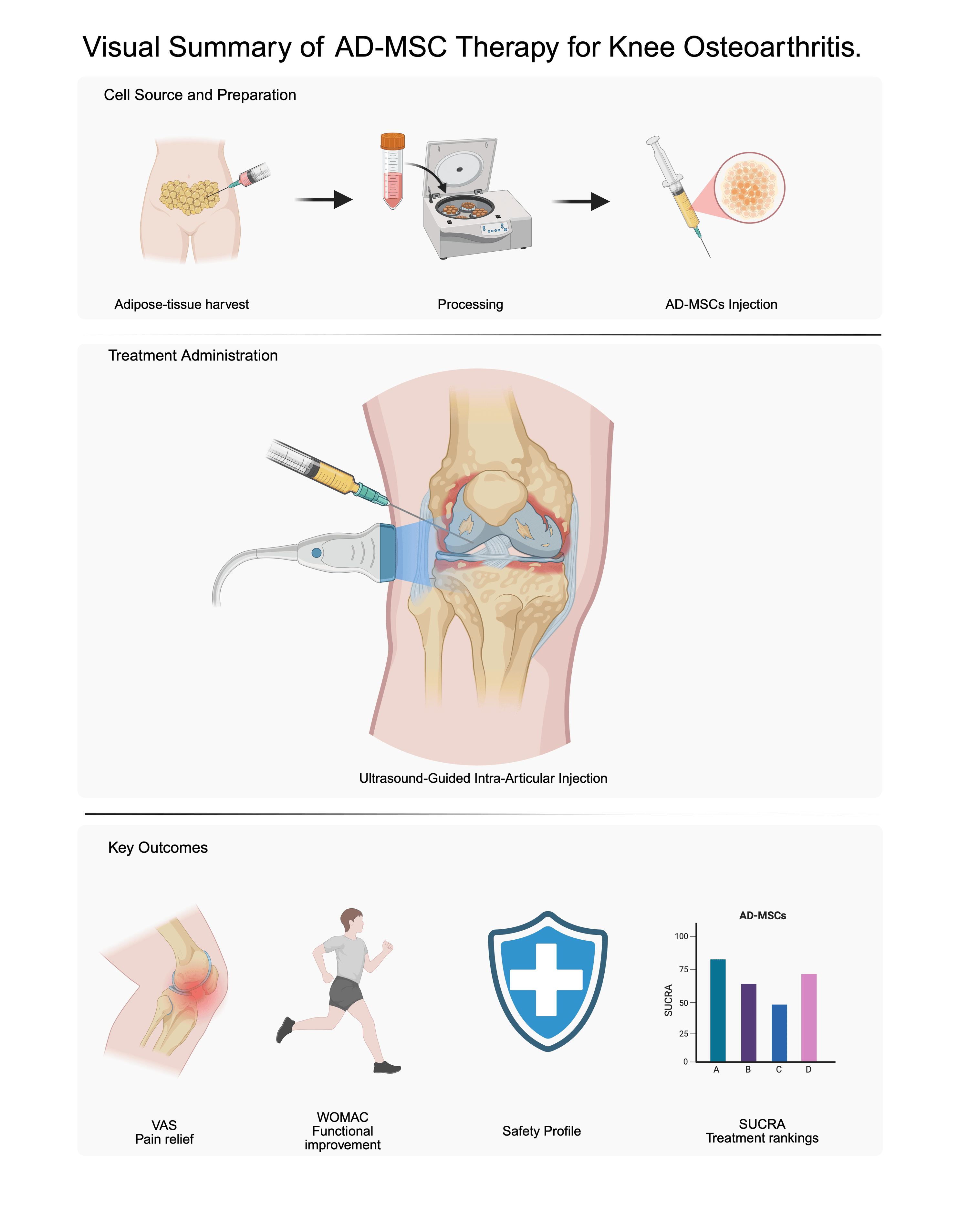 圖1：脂肪間充質(zhì)干細(xì)胞治療膝骨關(guān)節(jié)炎的概述