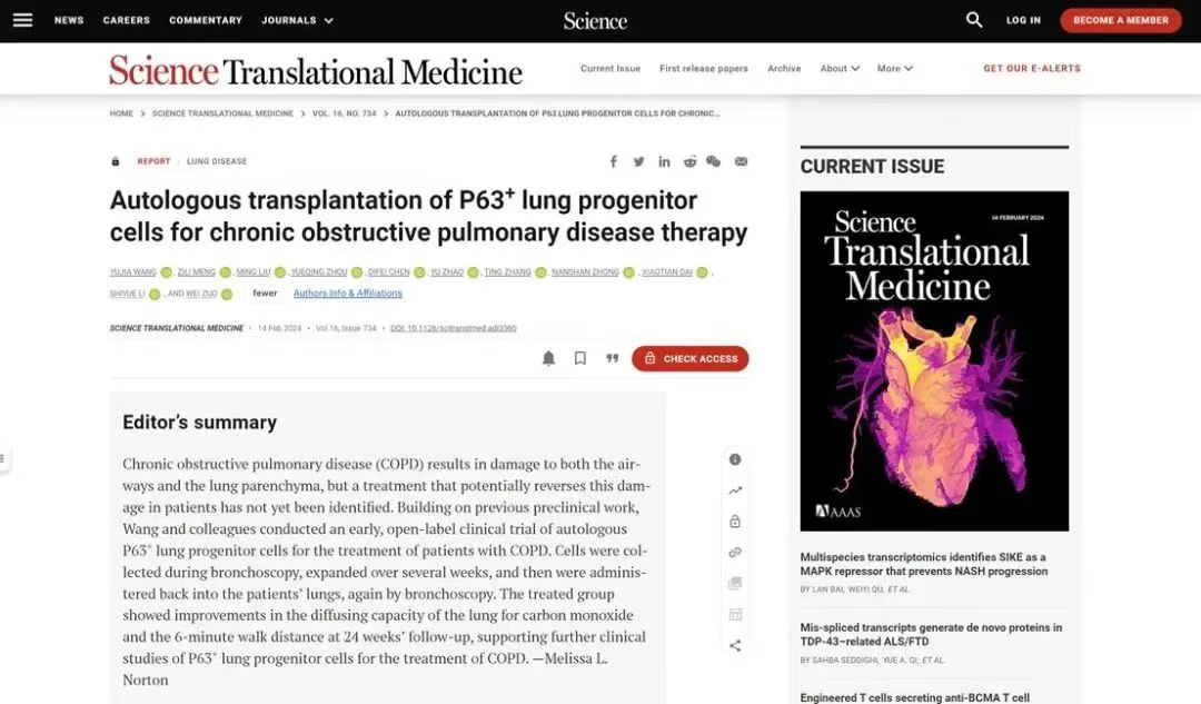 移植自體P63陽(yáng)性肺前體細(xì)胞用于慢性阻塞性肺病的治療 移植自體P63陽(yáng)性肺前體細(xì)胞用于慢性阻塞性肺病的治療