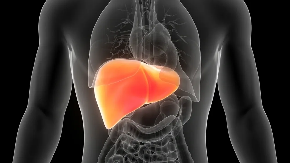 2025年1-12月干細胞治療肝衰竭的臨床最新進展指南 2025年1-12月干細胞治療肝衰竭的臨床最新進展指南