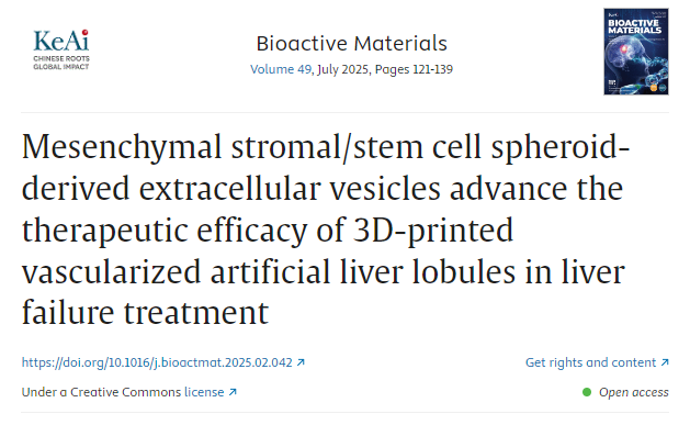 間充質基質/干細胞球體衍生的細胞外囊泡提高3D打印血管化人工肝小葉在肝衰竭治療中的療效 間充質基質/干細胞球體衍生的細胞外囊泡提高3D打印血管化人工肝小葉在肝衰竭治療中的療效