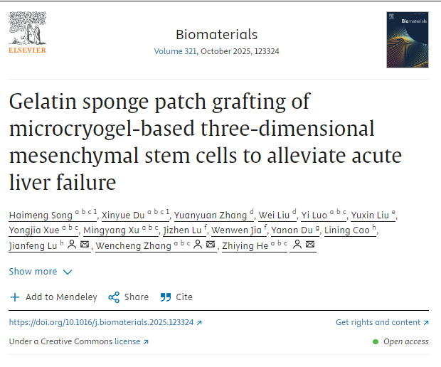 利用微冷凍凝膠構建的三維間充質干細胞進行明膠海綿貼片移植,以緩解急性肝衰竭
