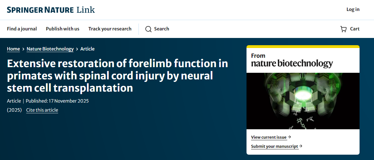 通過神經(jīng)干細(xì)胞移植,靈長(zhǎng)類動(dòng)物脊髓損傷后前肢功能得到廣泛恢復(fù) 通過神經(jīng)干細(xì)胞移植,靈長(zhǎng)類動(dòng)物脊髓損傷后前肢功能得到廣泛恢復(fù)