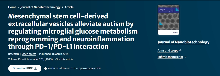 間充質(zhì)干細(xì)胞衍生的細(xì)胞外囊泡通過(guò) PD-1/PD-L1 相互作用調(diào)節(jié)小膠質(zhì)細(xì)胞葡萄糖代謝重編程和神經(jīng)炎癥，從而緩解自閉癥